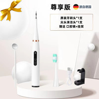 法纳普 FRNP 德国进口超声波电动牙刷冲牙器二合一洗牙器牙结石去除器牙石专用