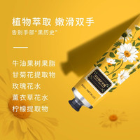 护手霜长效滋润保湿补水洋甘菊护手霜防干裂粗糙秋冬护手霜C