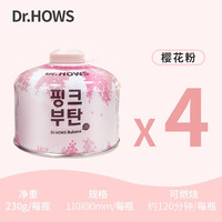 Dr.HOWS 韩国 户外便携式野炊气罐 高山粉 230g*4