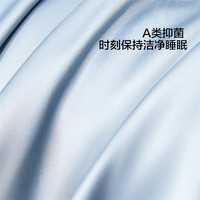 水星家纺枕套纯棉100%60支长绒棉一对枕套抑菌防螨全棉枕头套夏天一对装 【A类抑菌】格里莫晨光(灰蓝色) 48cm×74cm
