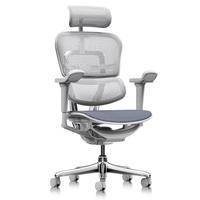 保友办公家具(Ergonor)金豪b人体工学椅办公椅子电脑椅电竞游戏椅 银白色美国网
