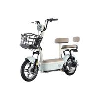 LUYUAN/绿源 长续航 电动自行车