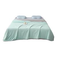 雅鹿冰丝夏凉被A类凉感夏季空调被学生宿舍单人夏被薄被子家用被芯凉 烟雨绿【A类面料 丝滑裸睡】 150*200cm（单人夏被）