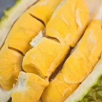 晨臻泰国金枕榴莲鲜果 精选榴莲新鲜水果 软糯香甜 榴莲 金枕榴莲9-10斤（共1-2个装）