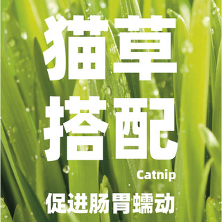 路斯 猫草饼干 小鱼味 120g*1盒 猫零食