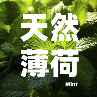 路斯 猫草饼干 小鱼味 120g*1盒 猫零食