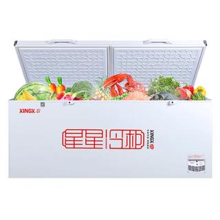 星星 大容量 商用冰柜  718L