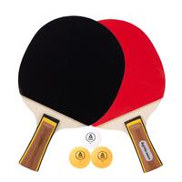 得力（deli）&安格耐特一星训练乒乓球拍训练反胶初学入门横直对拍