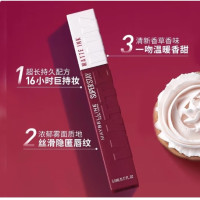 MAYBELLINE 美宝莲 巨持色 哑光液体唇膏 5ml