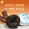 福海茶厂2025年福海沱茶标杆生茶云南勐海普洱茶茶叶头春茶传统笋壳装 生沱100g*5（每个ID送1沱试饮）