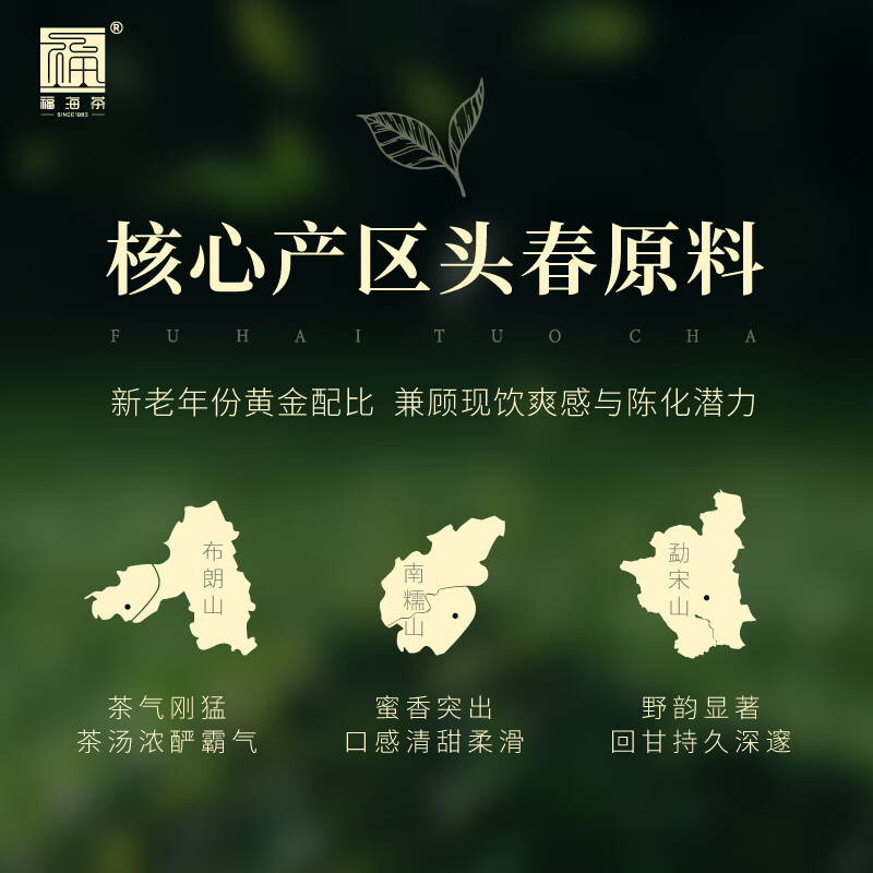 福海茶厂2025年新品福海沱茶标杆生茶云南勐海普洱茶茶叶头春茶 福海生沱