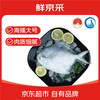 鲜京采 冷冻舟山鲜捕大号银鲳鱼1.5kg 10-12条/kg  源头直发