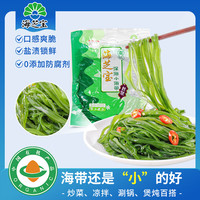 海芝宝 Haizhibao 海芝宝 荣成有机盐渍海带丝 500g*2袋