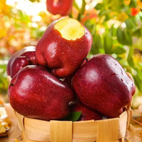 苗武云甘肃天水苹果新鲜当季现摘粉面苹果不打蜡 当季天水苹果 4.5斤 装净重4.25斤单果80-100mm/