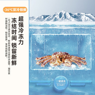 Frestec/新飞 深冷速冻 冷柜  200L