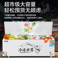 星奥雪 大容量 商用冰柜  600L