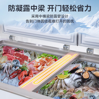  DOJUN/东骏 中梁加热除霜 商用冰柜  400-600L