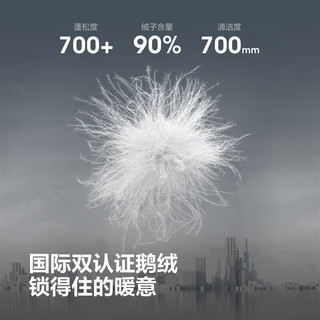 波司登（BOSIDENG）2590鹅绒轻薄羽绒服女短款立领收腰显瘦保暖外套B250136702 岩石灰8088 S 160/84A 体重约100-110斤