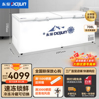 东骏 DOJUN 冰柜商用 全铜管冰柜 商用大容量全冷冻冰箱 冷藏可转换中梁除霜双门雪柜冷柜
