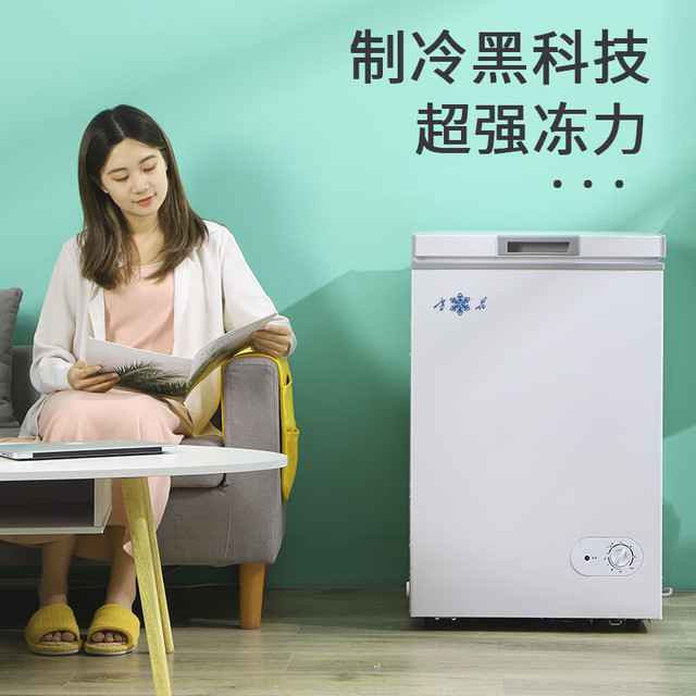 雪花 一级节能小冰柜家用大容量商用冷藏冷冻小型节能微霜迷你冷柜 46L 一级能效 /十年保修/铜管微霜 46L