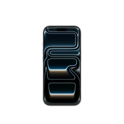 Apple iPhone 17 Pro 5G手机 256GB 银色