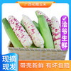 浍爷 广西花糯玉米 5斤净重