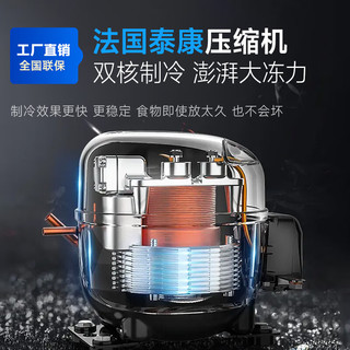 CHINENG/驰能 急速风冷 商用速冻冷柜  400L