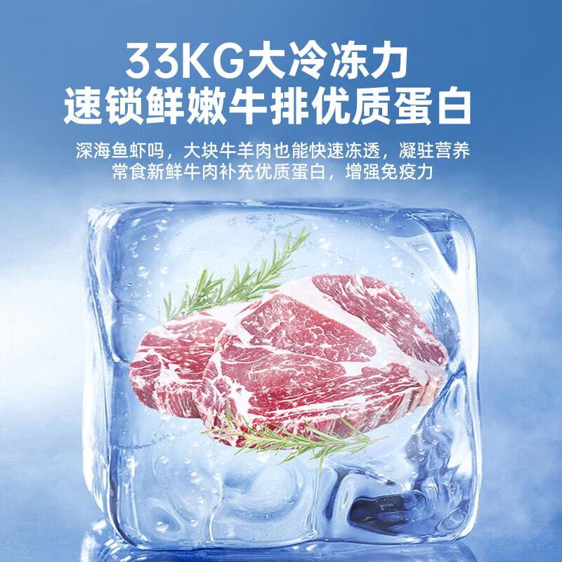  SUILING/穗凌 大容量 商用冰柜  726L