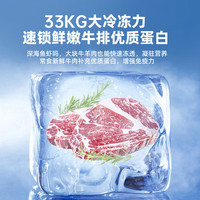  SUILING/穗凌 大容量 商用冰柜  726L