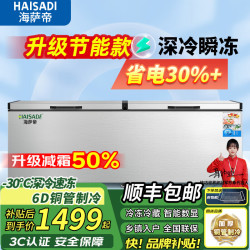 11 海萨帝冰柜商用家用大冷柜大容量冷柜卧柜展示柜冷藏冷冻