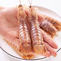一虾一世界鲜活熟冻皮皮虾 新鲜虾爬子濑尿虾大号爬爬虾肉虾婆肉 烧烤食材 中公虾 3斤(净重)  【约25只/斤】