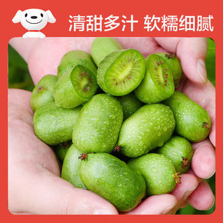 京鲜生 丹东软枣猕猴桃 净重1斤装 单果10-15g 奇异莓水果 源头直发