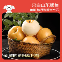 京鲜生 每斤5.7元、脆甜无渣!正宗山东烟台莱阳秋月梨 净重8.5斤(单果300g+)