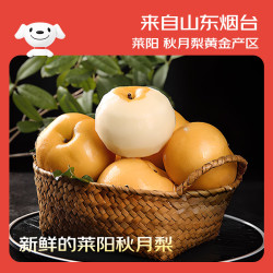 京鲜生 大号莱阳秋月梨 净重8斤