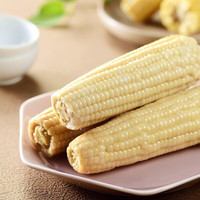 佟创 东北白糯玉米均重200g*10根