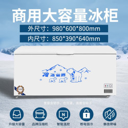 弗拉威 冰柜商用大容量冷柜冷藏冷冻冰柜双温展示雪柜商用冷柜商用冷冻柜 528升级版单温