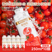 番念 FINENIAN 【冠军推荐】番念番吨吨番茄复合果蔬汁0蔗糖0脂肪西红柿汁饮料250ml*10瓶