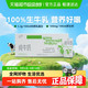 伊利 纯牛奶200ml*24盒整箱便携优质乳蛋白学生营养早餐奶