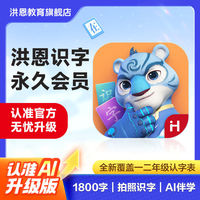 百亿补贴：洪恩 识字启蒙玩具幼儿园益智学习永久包儿童早教教具玩具