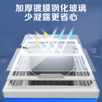 澳柯玛（AUCMA）商用卧式冷冻柜冰柜全篮筐 弧形玻璃门展示柜雪糕展示柜 超市冰淇淋速冻冷柜 【冷藏冷冻转换】蓝色 100升SC/SD-100F