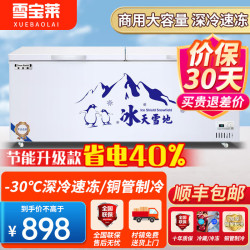 11 雪宝莱冰柜商用大容量卧式冷藏冷冻柜单双温大冰柜商用全冷冻展示柜 798单温铜管升级款