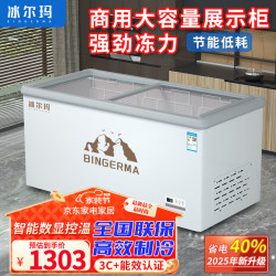 11 冰尔玛冰柜商用大容量冷柜冰箱冷藏展示柜雪糕柜超市点菜柜保鲜全冷冻