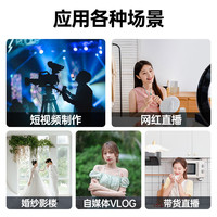Godox/神牛 双色温柔光 LED摄影灯+灯架+快装深口箱
