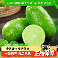 88VIP：子弹头 新鲜香水柠檬云南子弹头柠檬无籽青柠檬奶茶店专用