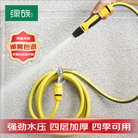 绿族 洗车高压水枪 大黄蜂水枪+10米水管套装