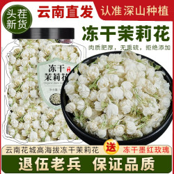 胖妈妈养身日志 2025新花茶云南茉莉雪球 特等级 浓香型 非横县茉莉花茶 大朵新茶
