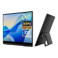 一泓微 D5Air 17.3英寸2K便携显示器（2560*1440、265Hz）