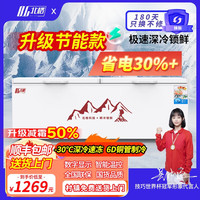北格 BG 大冰柜商用全冷冻大型冷柜大容量单温双温2米冰箱 双开门300升