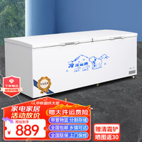 冰山雪 冰柜商用家用卧式冷柜大容量冷冻展示柜商用冷冻柜大容量冷柜商用冷柜 528单温智控1.26米