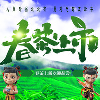 简小禾 五峰毛尖绿茶 新茶 100g
